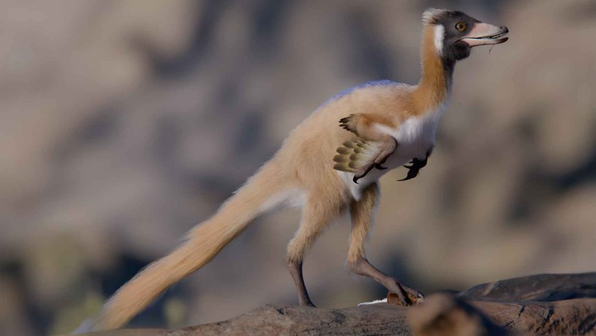 A dinosaur the size of a cat and weighing less than 2.2 pounds changes history; the 90-million-year-old Alnashetri fossil rewrites its lineage