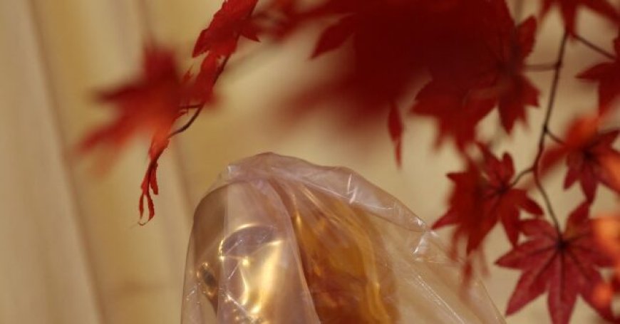 Oscars 2026: Hollywood Celebrates Itself amid 'Existential Crisis,' Looming Strikes, and Steep Decline