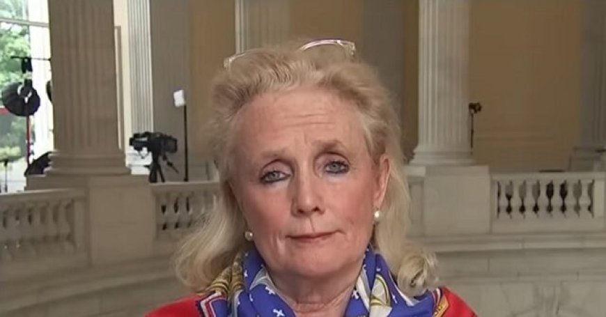 Dingell: 'Funding DHS Isn't Going to Get At' Safety Issues