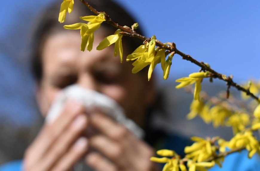 Do you live in one of the 2026 'allergy capitals' of the US?