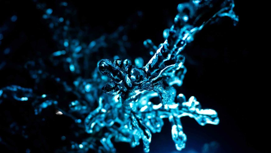 Modern superbugs are becoming humanity’s nightmare — Experts turn to a bacterium frozen for 5,000 years to search for the cure