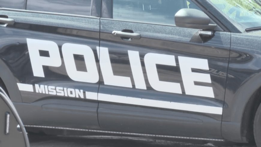 Burglary suspect shot by police behind Mission Target