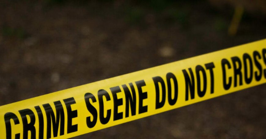 New York Man, 55, Dead After Being Punched out on Subway Platform