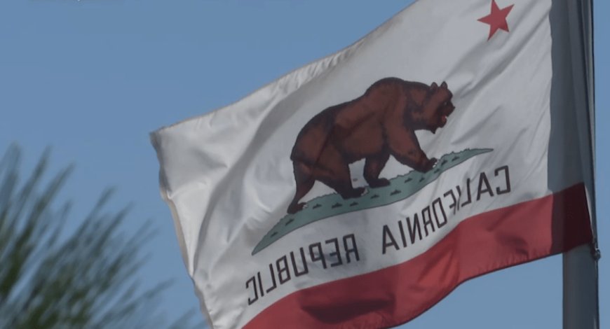 Woman injured by bear while walking her dog in California