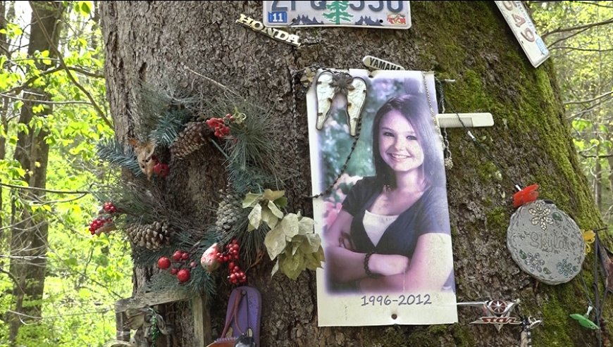 Why are people so fascinated by true crime? Professor weighs in