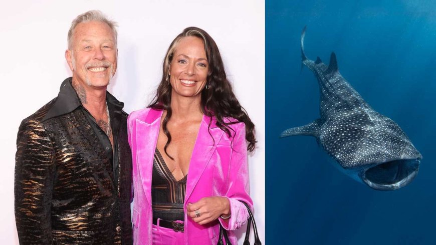 "In a sea full of fish, we caught each other." James Hetfield proposes to partner Adriana Gillett underwater while swimming with whale sharks