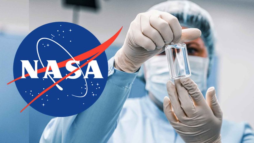 NASA “cultivates” viruses in space and, upon bringing them back to Earth, discovers that they have become more effective