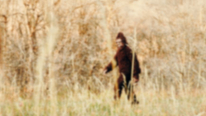 Sightings Of ‘Bigfoot’ Surge in Ohio