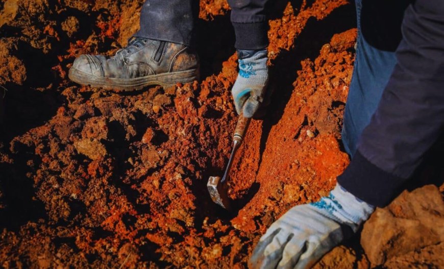 Scientists Discover The Best-preserved Fossils Ever Found Hidden In Red Rocks Deep In Australia