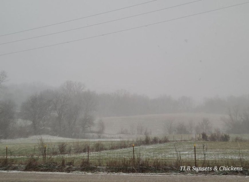 Joe's Blog: That was some crazy weather yesterday (MON-3/16)