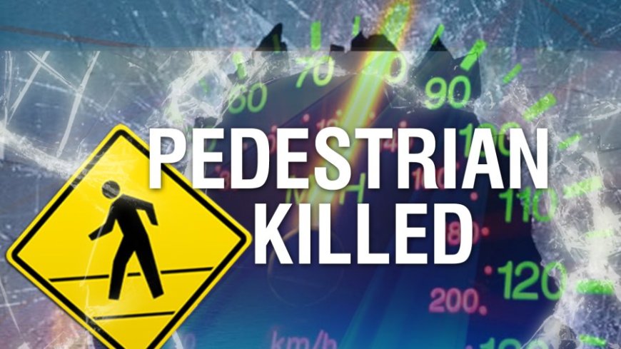 Victim in fatal hit-and-run near Sedgwick County Zoo identified as Wichita man