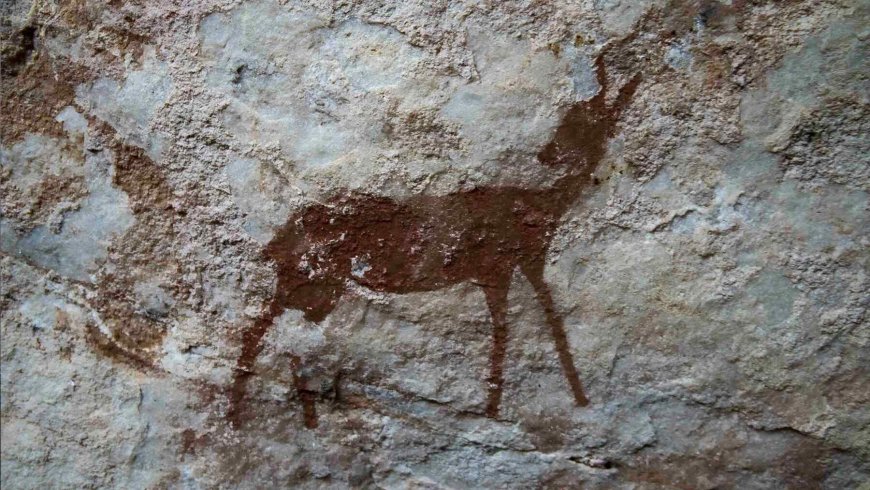 Humans didn’t always live on meat or vegetables — A new study reveals our ancestors ate far stranger foods