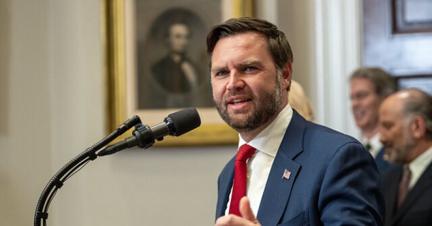 Trump Taps Vance to Lead Anti-Fraud Task Force