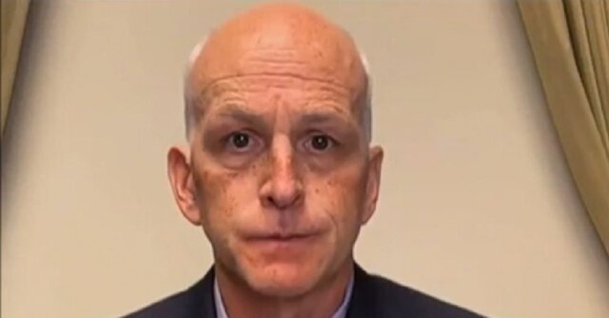 Dem Rep. Smith: Both Sides Want to Fund TSA, Coast Guard, FEMA, But Dems Don't Want to Fund ICE