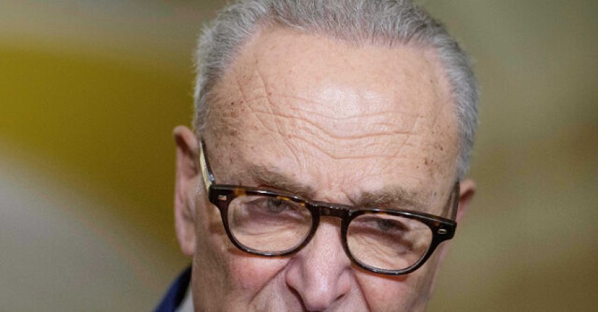 Schumer: SAVE America Act 'Despicable,' Trump Wants to 'Cheat' in Midterms