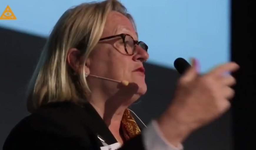 Catherine Austin Fitts: Rothschild’s “Demonic” Programmable Money Will Enslave Humanity