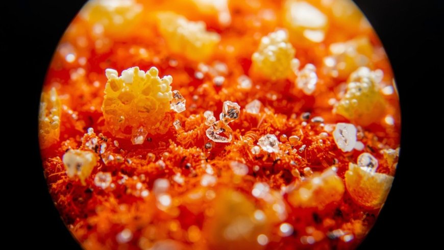 Microplastics you swallow every day may reach your brain through five newly mapped routes, each one tied to Alzheimer’s or Parkinson’s