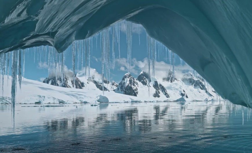 A Group of Scientists Just Discovered Fossils in Greenland That Are 3.7 Billion Years Old