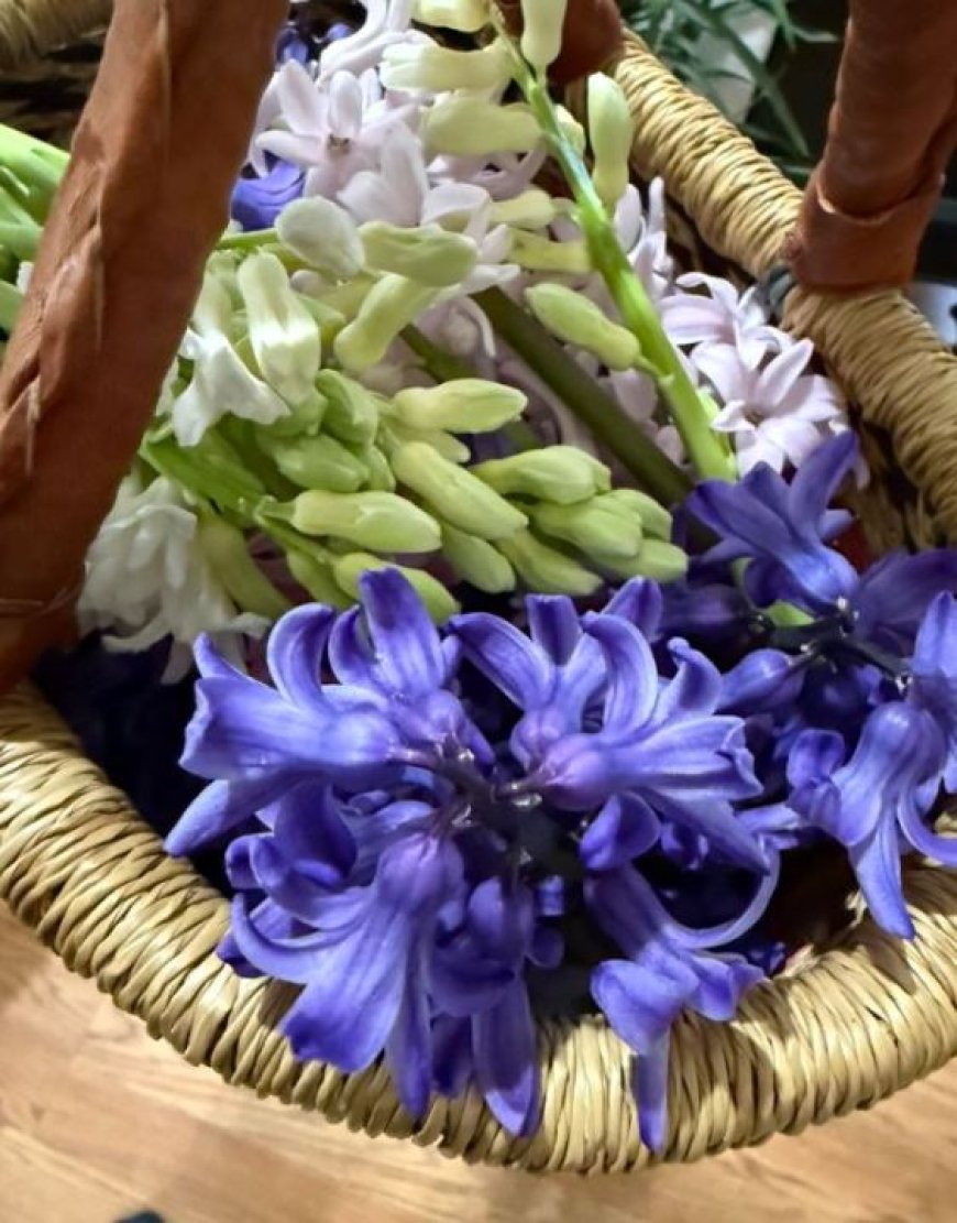 Joe's Blog: Going right into summer! (TUE 3/17)