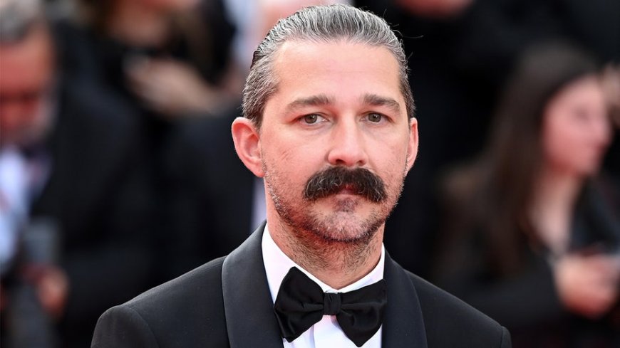 Shia LaBeouf begs strangers for matches in underwear during bizarre hotel incident