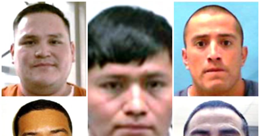 ICE Agents Arrest Illegal Aliens Convicted of Murder, Child Sex Crimes, Sex Abuse