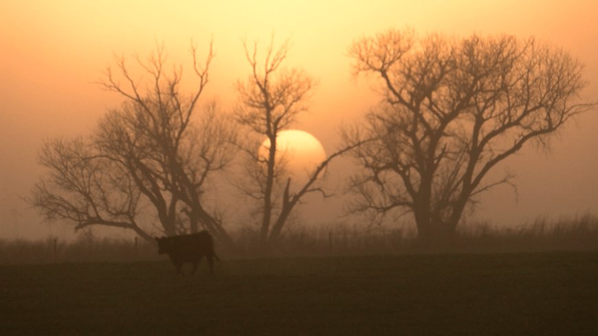 USDA details resources for Kansas ag producers affected by wildfires