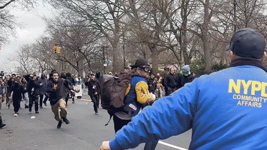 New video shows terror suspect tackled after allegedly throwing bomb at NYC protest outside mayor's residence