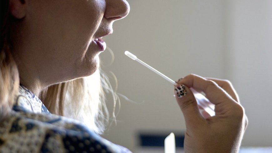 Genealogy boom exposes personal data scammers can exploit