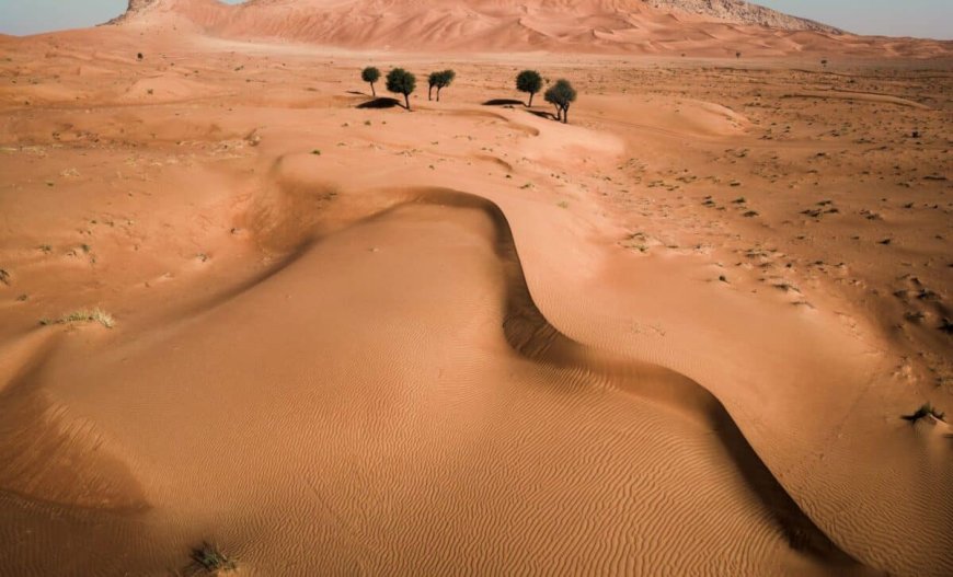 Scientists Discover 1-Centimeter Fossil in the Gobi Desert, The First of Its Kind Ever Found