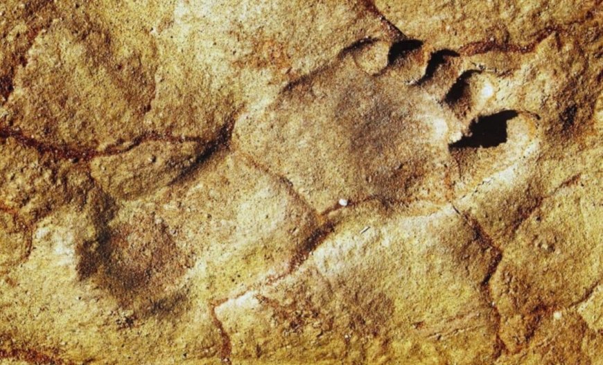 Scientists Found 120,000-Year-Old Footprints Where Humans Were Never Thought To Have Walked