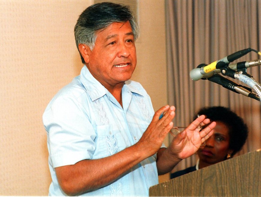 Cesar Chavez's family releases statement following sexual assault, abuse allegations