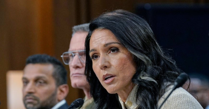 DNI Tulsi Gabbard: Iranian Regime 'Appears to Be Intact, but Largely Degraded'