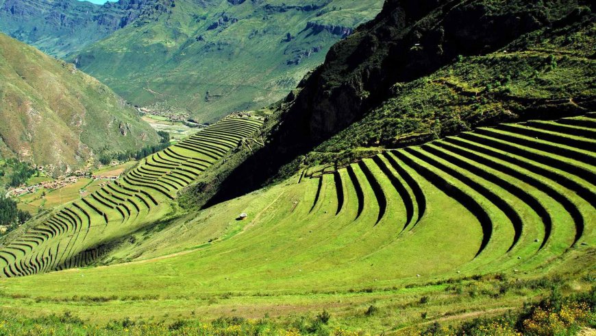 Scientists analyzing ancient DNA in Colombia found something unexpected — A 6,000-year-old genome with no descendants today