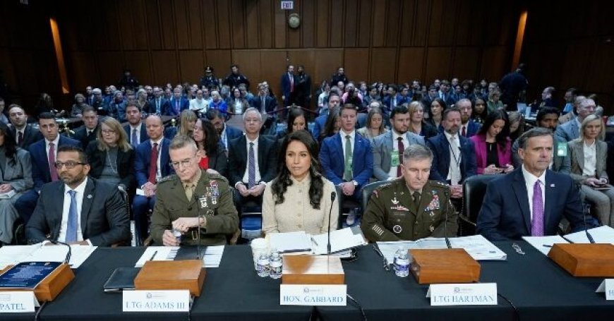 Watch Live: Tulsi Gabbard, Kash Patel, John Ratcliffe Testify on Global Threats