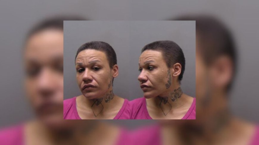 Woman charged in St. Joseph fire that killed Vietnam veteran, hurt officer, 3 others