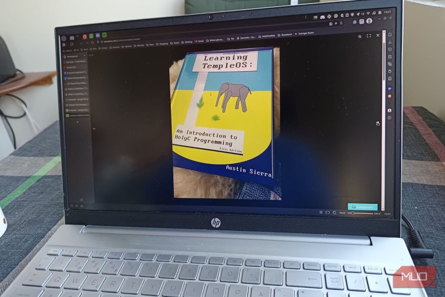 Everyone laughed at TempleOS, but its creator built something no one else could