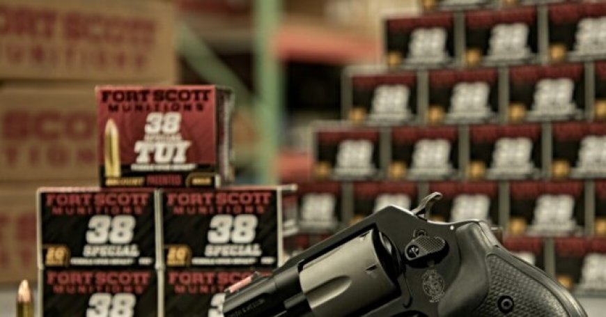 Illinois Democrat Pushes Serial Number Requirement for Handgun Ammunition