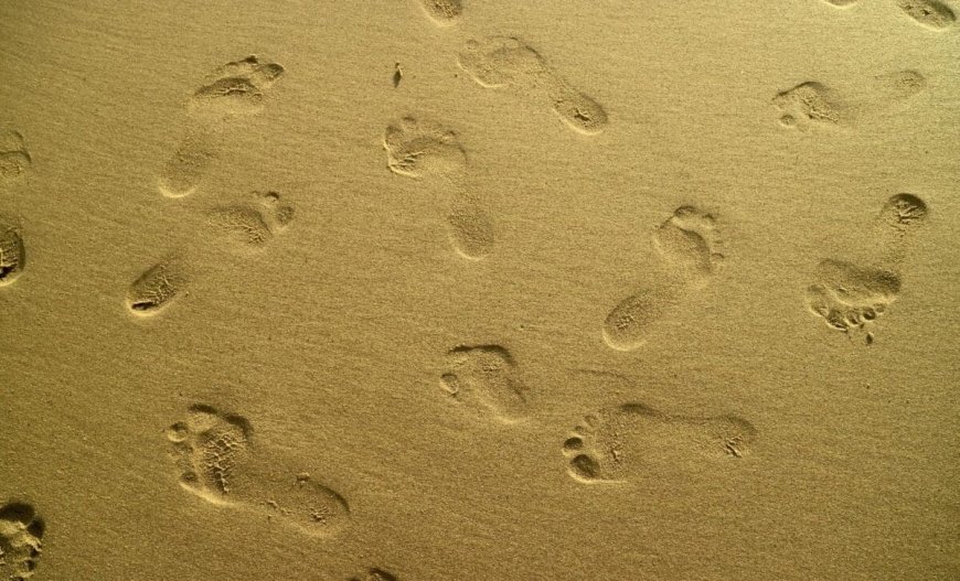 Scientists Discovered 29 Human Footprints Strangely Arranged on a Remote Island in Canada