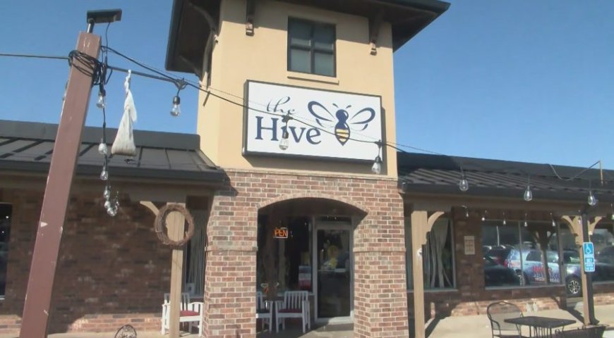 Serving the Ozarks: The Hive in Willard