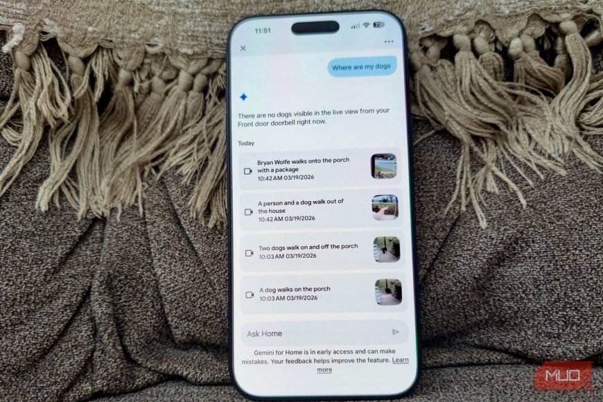 The first thing Google Home Premium did was tell me my dog was somewhere she shouldn't be