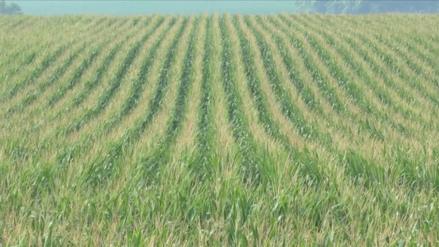 Sen. Roger Marshall introduces bill aiming to combat rising fertilizer prices