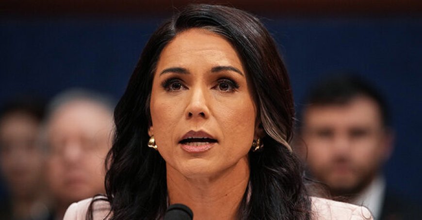 Trump Confirms Tulsi Gabbard's Job Is Safe as DNI