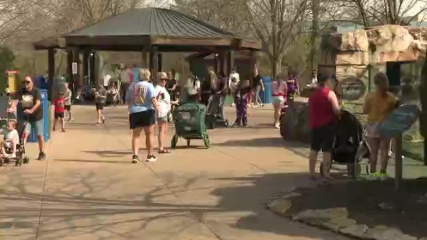 Record heat brings summer feel to the Kansas City Zoo & Aquarium