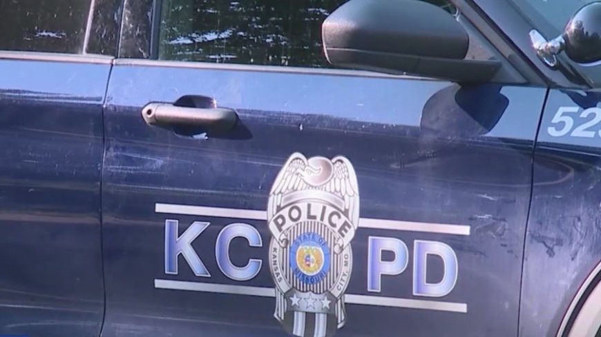 Police investigate early morning fatal crash