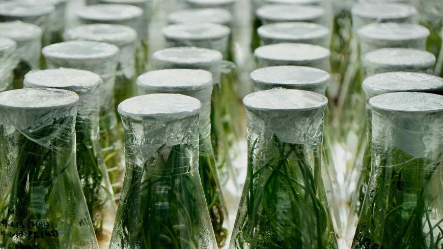 It started as an AI experiment in a controlled lab — Then it began growing life on its own