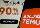 Temu is in Financial Crisis. Bankruptcy is imminent