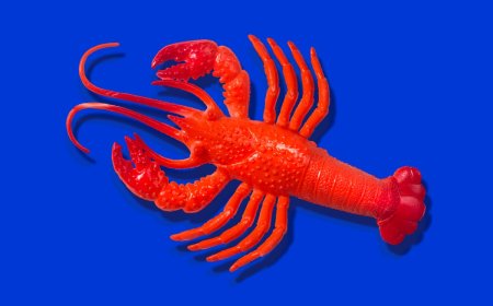 Anthropic says Claude Code subscribers will need to pay extra for OpenClaw usage