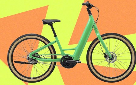 Momentum Vida E+ Electric Bike Review: Stable, Quality Ride