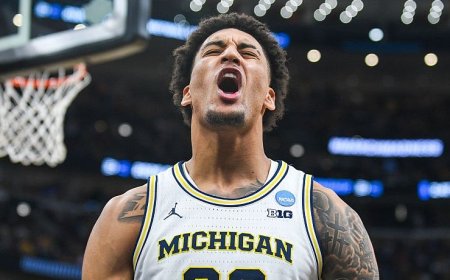 How to watch March Madness Final Four 2026: free NCAA basketball live streams, TV channels, schedule