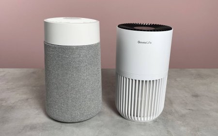 Looking for a compact air purifier? These are the 3 best options we've tested